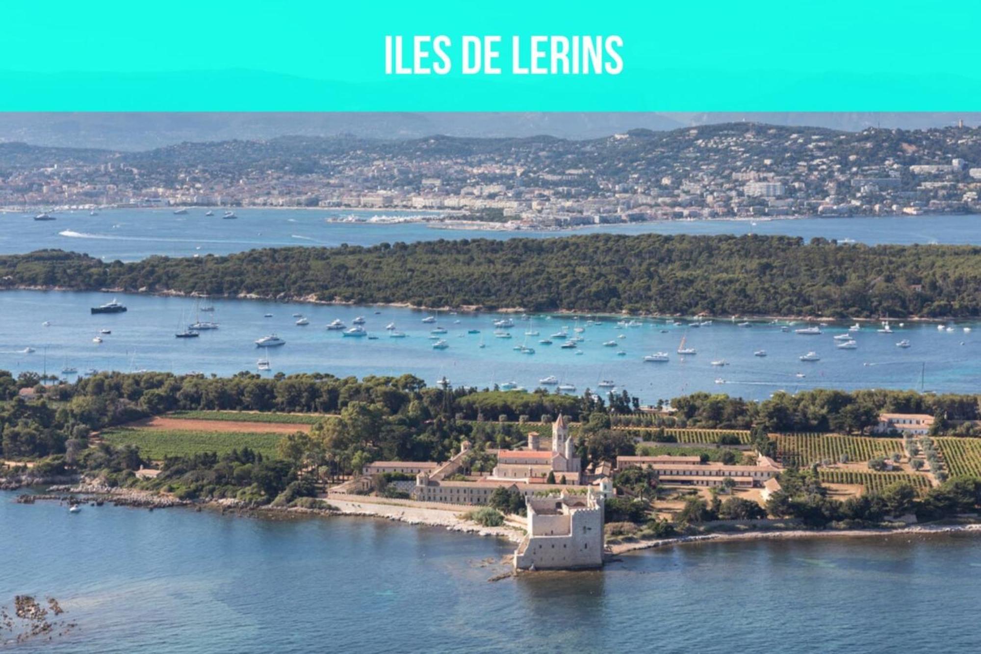 Les Sorbiers - Centre Ville - Spacieux & Climatisation Cannes Eksteriør billede
